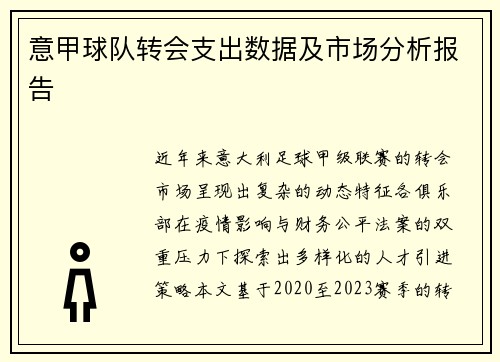 意甲球队转会支出数据及市场分析报告